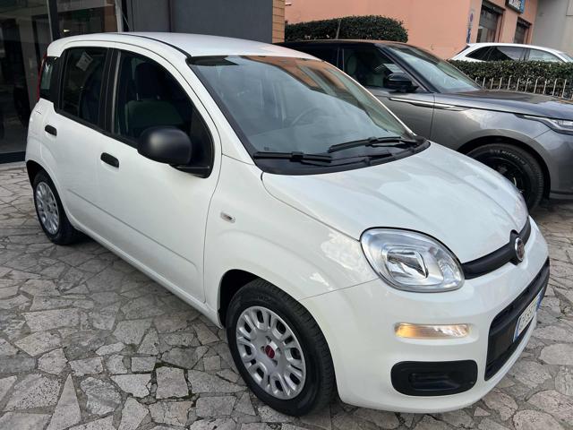 FIAT Panda 1.0 FireFly S&S Hybrid City Life Immagine 2