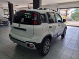 FIAT Panda Cross 1.0 FireFly S&S Hybrid