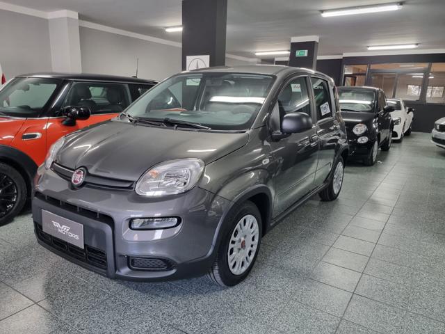 FIAT Panda 1.0 FireFly S&S Hybrid Immagine 2