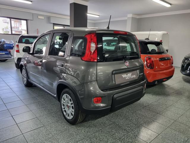 FIAT Panda 1.0 FireFly S&S Hybrid Immagine 3