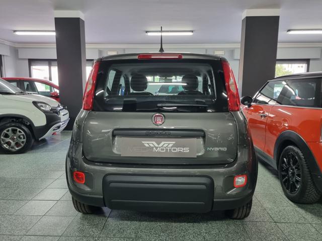 FIAT Panda 1.0 FireFly S&S Hybrid Immagine 4