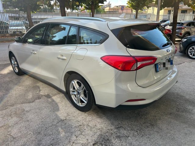 FORD Focus 1.5 EcoBlue  SW Business Immagine 3