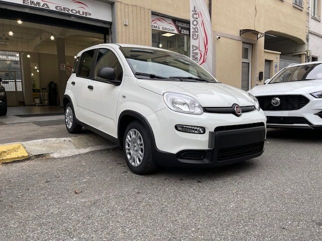 FIAT Panda 1.0 FireFly S&S Hybrid Pandina Immagine 1