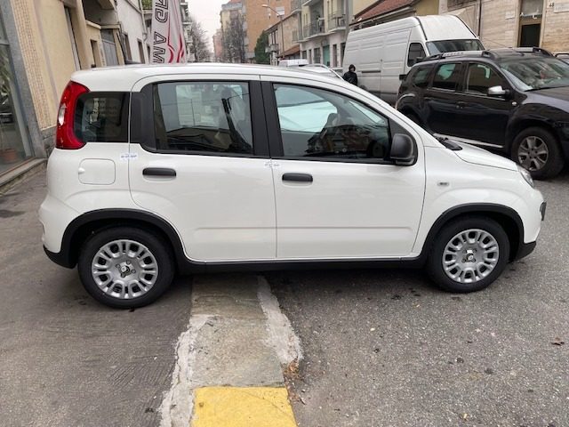 FIAT Panda 1.0 FireFly S&S Hybrid Pandina Immagine 4