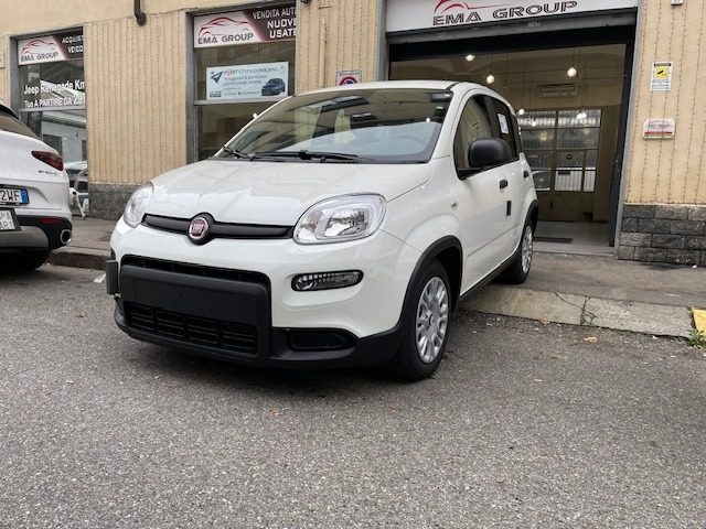 FIAT Panda 1.0 FireFly S&S Hybrid Pandina Immagine 2