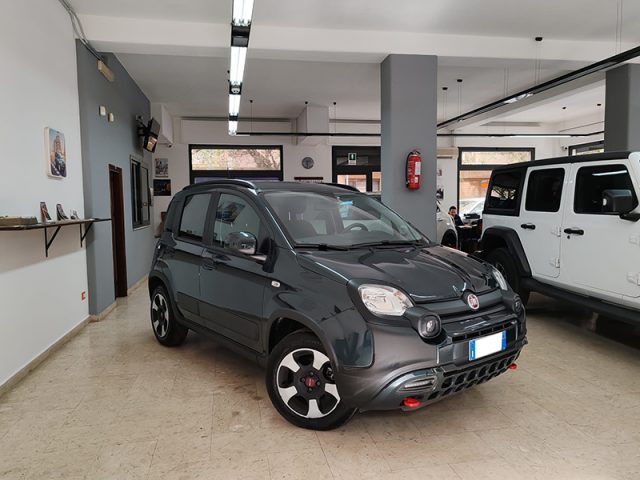 FIAT Panda Cross 1.0 FireFly S&S Hybrid VARI COLORI Immagine 3