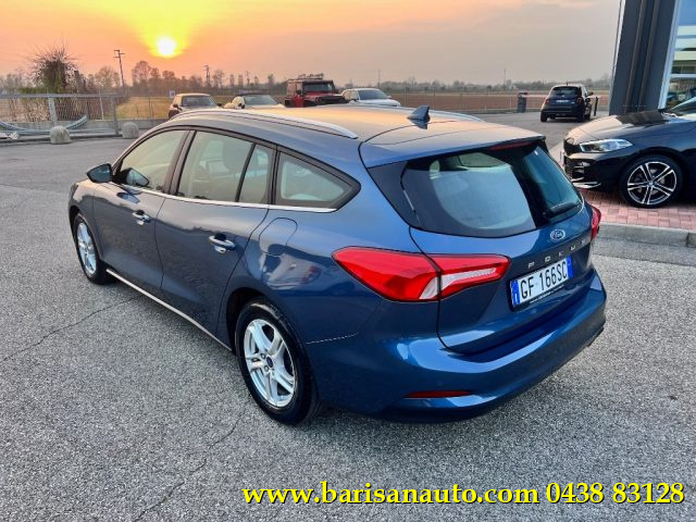 FORD Focus 1.5 EcoBlue 120 CV SW Business Immagine 3