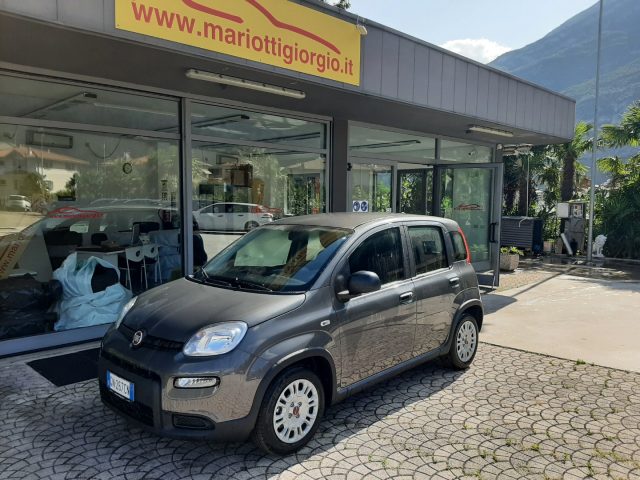 FIAT Panda 1.0 FireFly S&S Hybrid OK NEOPATENTATI-  - Immagine 0