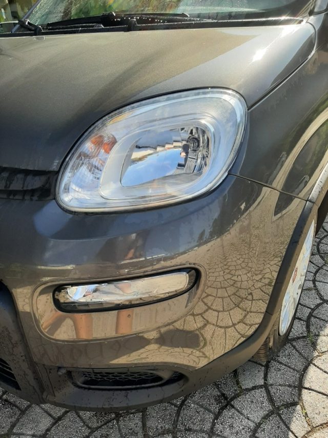 FIAT Panda 1.0 FireFly S&S Hybrid OK NEOPATENTATI-  - Immagine 2