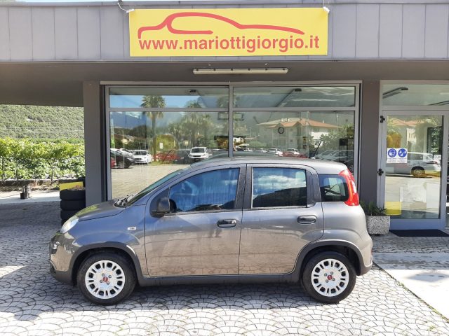 FIAT Panda 1.0 FireFly S&S Hybrid OK NEOPATENTATI-  - Immagine 4