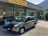 FIAT Panda 1.0 FireFly S&S Hybrid OK NEOPATENTATI-  -