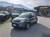 FIAT Panda 1.0 FireFly S&S Hybrid OK NEOPATENTATI-  -