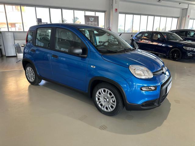 FIAT Panda 1.0 FireFly S&S Hybrid Immagine 2