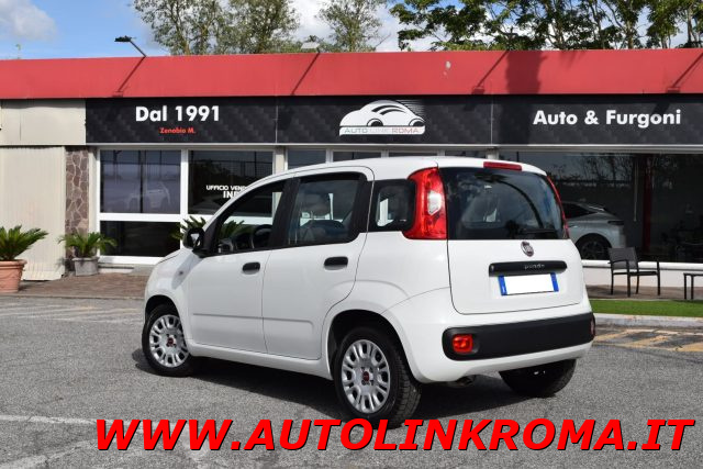 FIAT Panda 1.2 Easy 5 posti 69CV Immagine 2