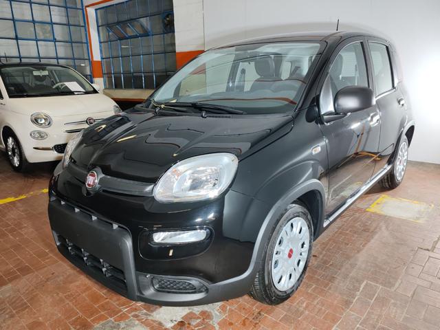 FIAT Panda 1.0 Hybrid 70cv 36 Rate da 177,95 Immagine 2