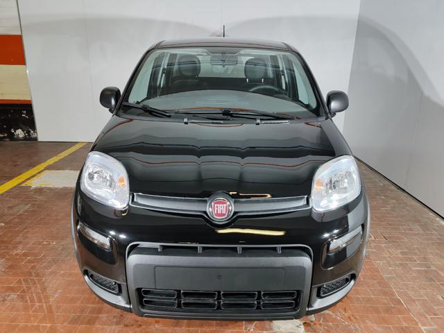 FIAT Panda 1.0 Hybrid 70cv 36 Rate da 177,95 Immagine 1