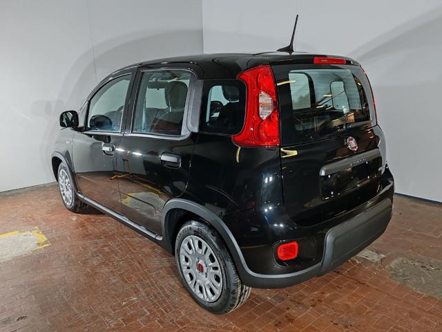 FIAT Panda 1.0 Hybrid 70cv 36 Rate da 177,95 Immagine 3