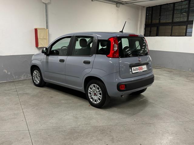 FIAT Panda 1.0 FireFly S&S Hybrid Easy 5 Posti Immagine 4