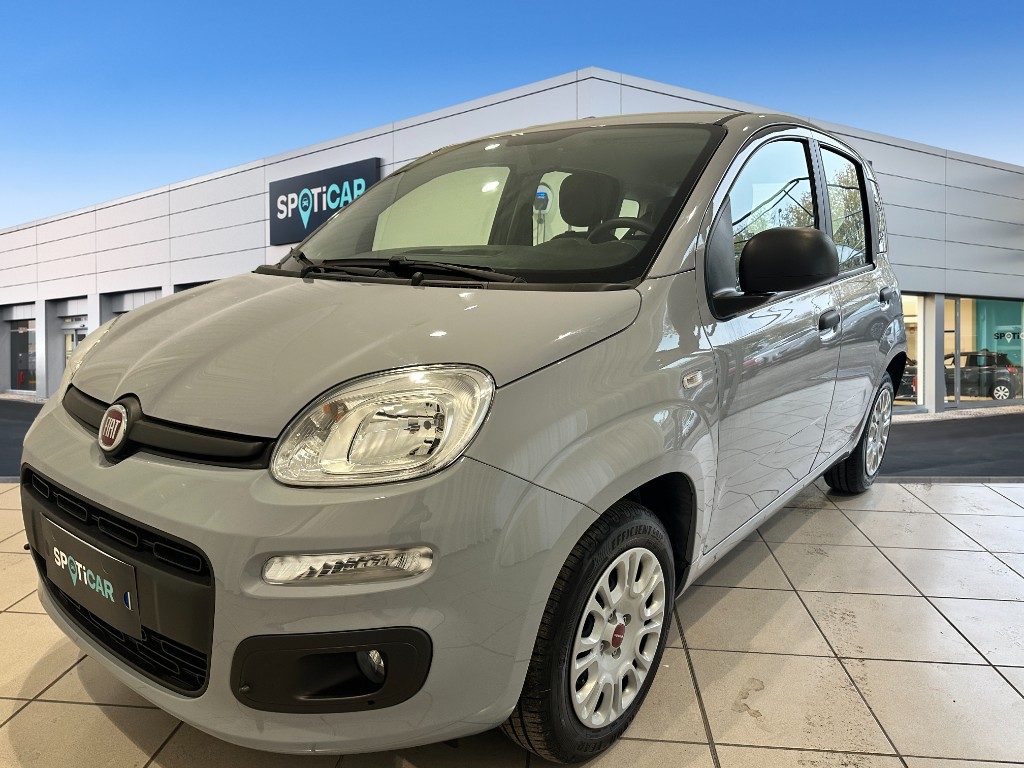 FIAT Panda 1.2 Lounge Benzina usato