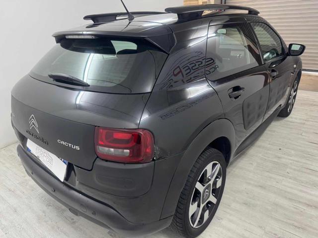 CITROEN C4 Cactus BlueHDi 100 Shine Immagine 3