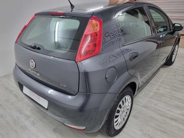 FIAT Punto 1.2 8V 5 porte Lounge Immagine 3