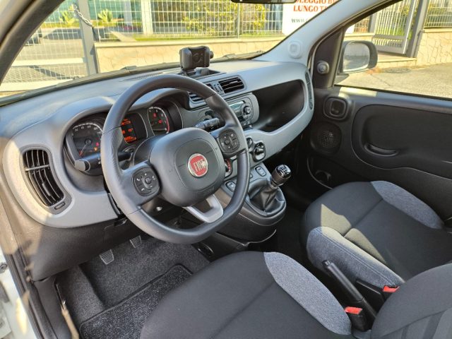 FIAT Panda 1.0 FireFly Hybrid City Life PREZZO REALE! 5POSTI Immagine 4