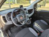 FIAT Panda 1.0 FireFly Hybrid City Life PREZZO REALE! 5POSTI