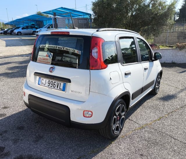 FIAT Panda 1.0 FireFly Hybrid City Life PREZZO REALE! 5POSTI Immagine 4