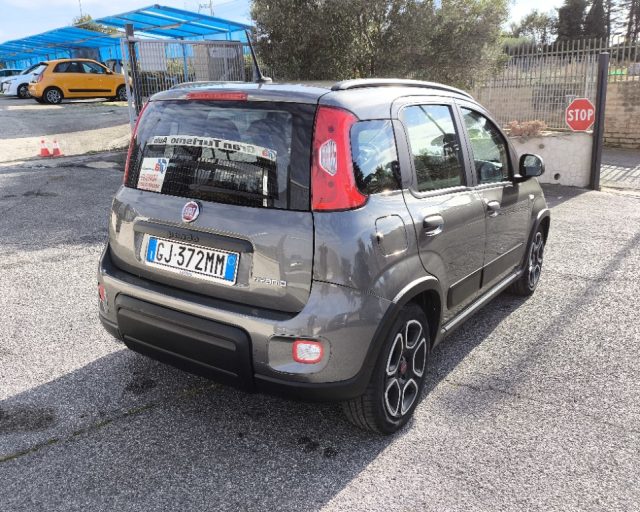 FIAT Panda 1.0 FireFly Hybrid City Life PREZZO REALE! 5POSTI Immagine 3