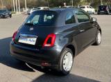 FIAT 500 500 1.2 Pop 69cv my20