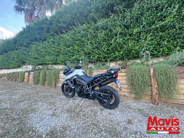 TRIUMPH Tiger 800 XRx xrx Immagine 4