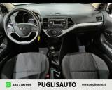 KIA Picanto 1.0 12V 5 porte Easy