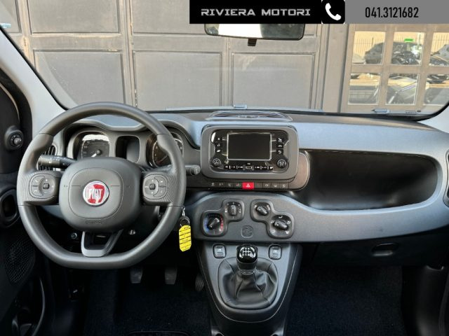 FIAT Panda 1.0 FireFly S&S Hybrid My24 Radio/5 posti Immagine 4