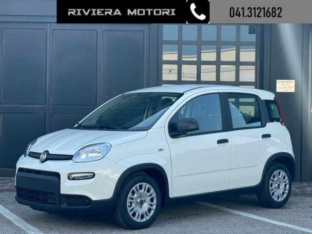 FIAT Panda 1.0 FireFly S&S Hybrid My24 Radio/5 posti Immagine 0