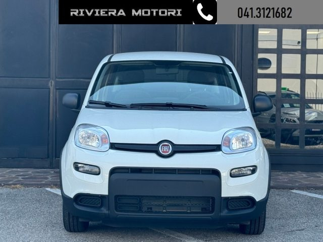 FIAT Panda 1.0 FireFly S&S Hybrid My24 Radio/5 posti Immagine 1