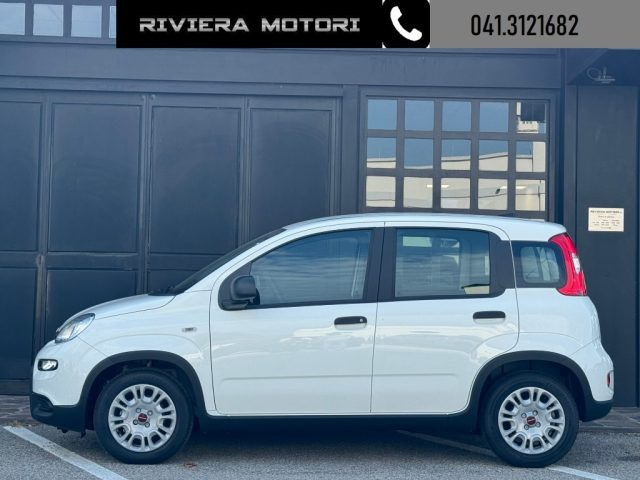 FIAT Panda 1.0 FireFly S&S Hybrid My24 Radio/5 posti Immagine 2