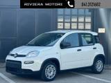 FIAT Panda 1.0 FireFly S&S Hybrid My24 Radio/5 posti