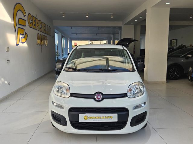 FIAT Panda 1.0 FireFly S&S Hybrid da ?119,00 mensili Immagine 0