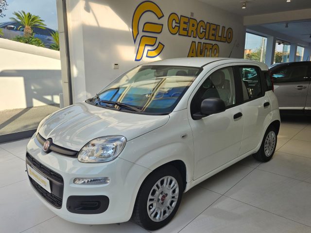 FIAT Panda 1.0 FireFly S&S Hybrid da ?119,00 mensili Immagine 1