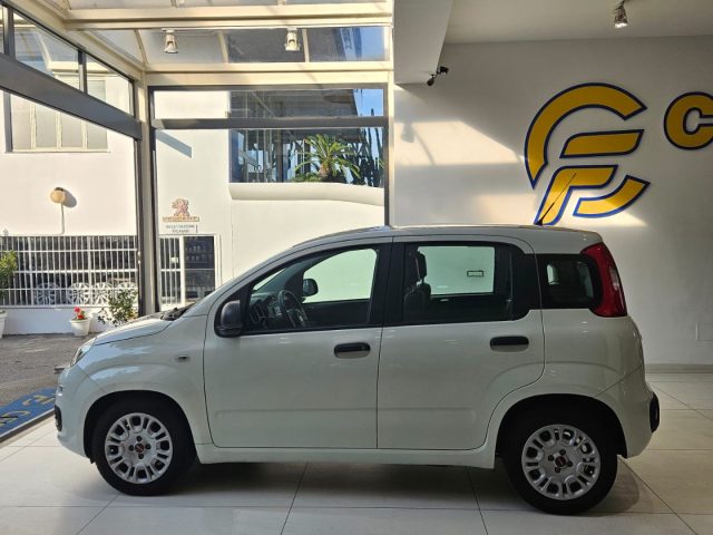 FIAT Panda 1.0 FireFly S&S Hybrid da ?119,00 mensili Immagine 2