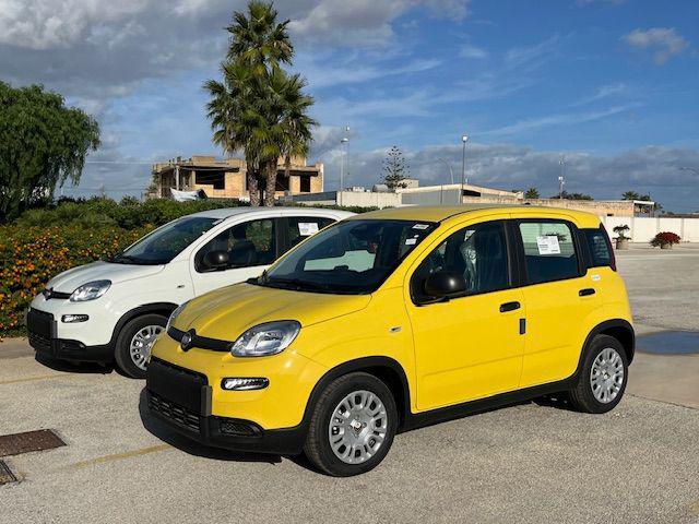 FIAT Panda 1.0 FireFly S&S Hybrid Immagine 0