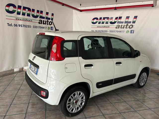 FIAT Panda 1.2 Easy Immagine 3