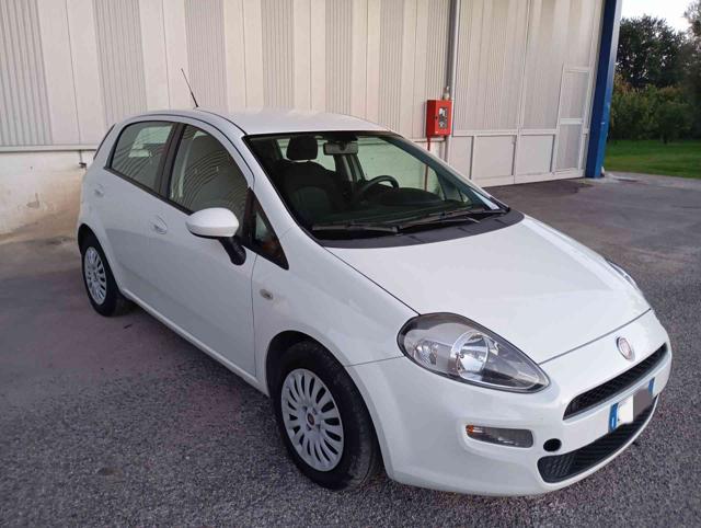 FIAT Punto 1.3 MJT II 75 CV 5 porte Street Immagine 0