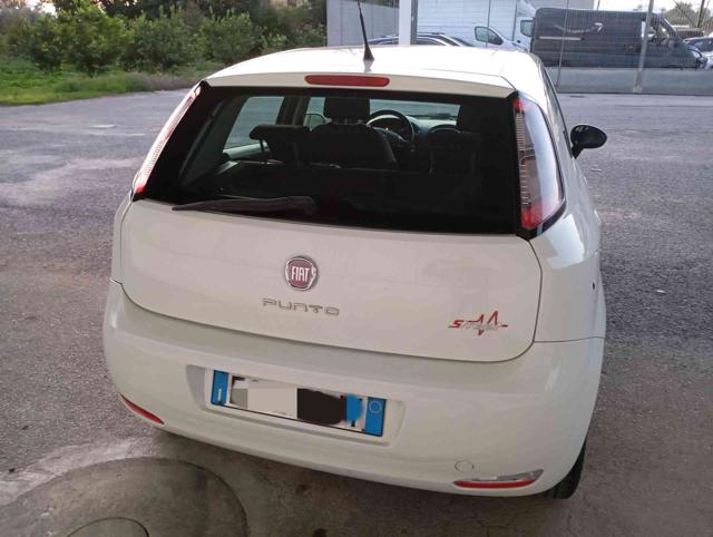 FIAT Punto 1.3 MJT II 75 CV 5 porte Street Immagine 4