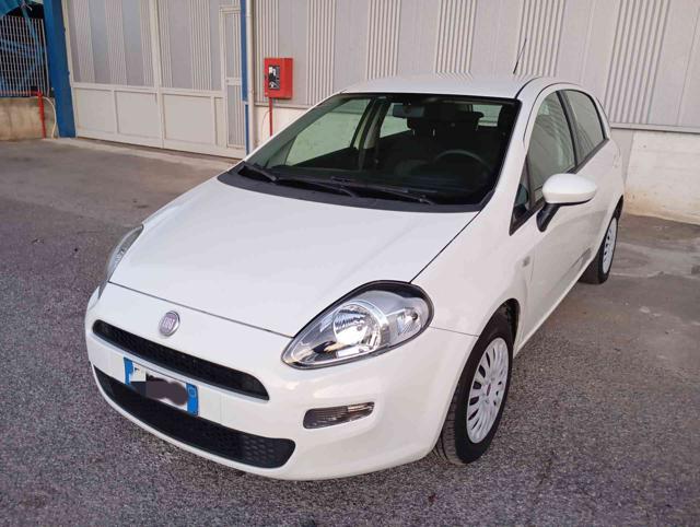 FIAT Punto 1.3 MJT II 75 CV 5 porte Street Immagine 1