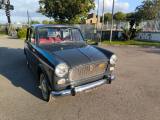 FIAT 1100 Fiat Altro FIAT 1100 D - 103 G1 RESTAURATA COMPLET