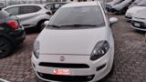 FIAT Punto 1.3 MJT II 75 CV 5 porte Street