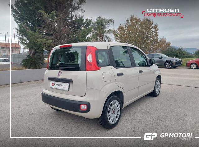 FIAT Panda 1.2 EasyPower Easy Immagine 3