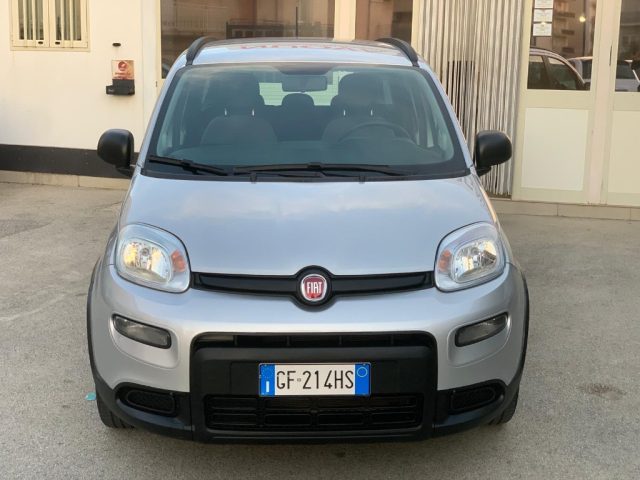 FIAT Panda 1.0 FireFly S&S Hybrid City Life Immagine 2