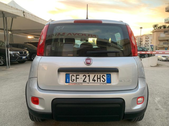 FIAT Panda 1.0 FireFly S&S Hybrid City Life Immagine 4